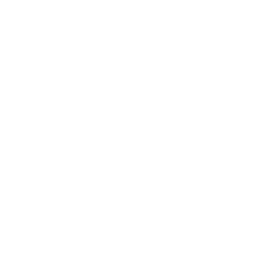 LZRvision
